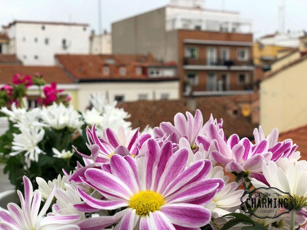 Charming Oasis In The Centre Of Madrid Exterior photo